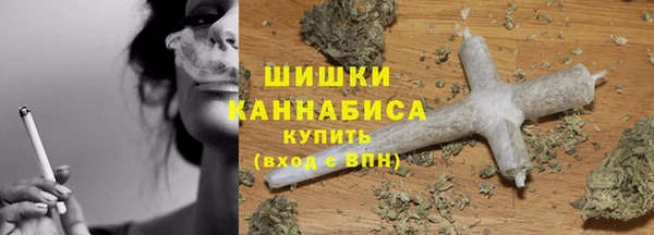 прущая мука Арсеньев