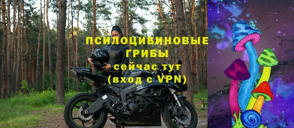прущая мука Арсеньев