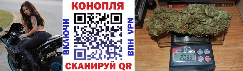 Бошки марихуана THC 21%  Сурск 